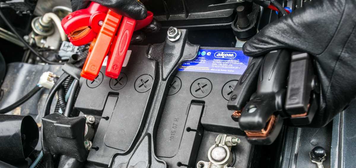 Крокодилы для прикуривания